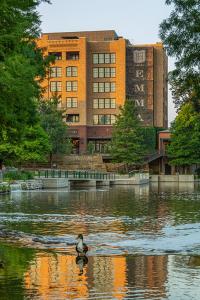 un pato en el agua frente a un edificio en Hotel Emma at Pearl on the Riverwalk, en San Antonio