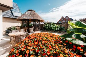 Kebun di luar Hotel Luina Beach