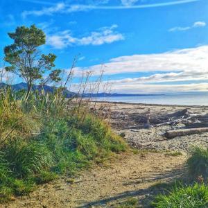 un chemin de terre à côté d'une plage avec un arbre dans l'établissement Beachfront escape, à Collingwood