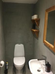 ein Bad mit einem WC und einem Waschbecken in der Unterkunft Marielyst B&B - Apartments in Næstved