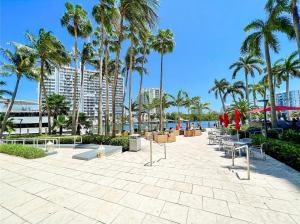 um pátio na praia com palmeiras e cadeiras em GalleryOne Doubletree Hilton GC Secret Blending em Fort Lauderdale