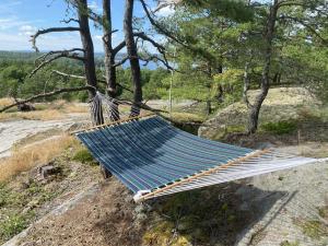 amaca appesa a un albero su una collina di Velferden Mågerø a Nord Måkerøy