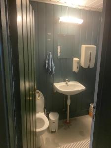 bagno con servizi igienici e lavandino di Velferden Mågerø a Nord Måkerøy