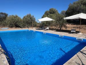 ein blauer Pool mit Stühlen und Sonnenschirmen in der Unterkunft Agreen Country House in Olbia