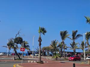 ダーバンにあるOceanic 88 North Beach Durbanの道路の車道とヤシの木