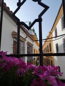 una vista desde la ventana de un edificio con flores púrpuras en La Llave de la Judería Hotel Boutique, en Córdoba