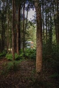 Un paisaje natural cerca de la villa