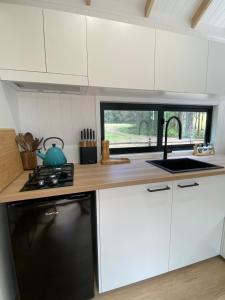 Una cocina o kitchenette en 'Chartreuse' Tiny Home on Green Valley Fingerlime Farm