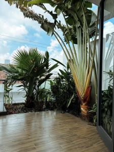 Un paisaje natural cerca de la habitación en casa particular