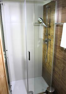 a shower with a glass door in a bathroom at Hotel Al Verde in Mandello del Lario