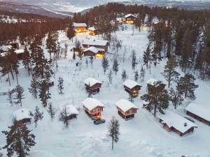 Holiday Home Måsaplassen през зимата