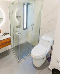 a bathroom with a toilet and a shower at Casa Castillo in Mexico City