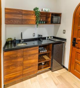 a kitchen with a sink and a counter top at Casa Castillo in Mexico City