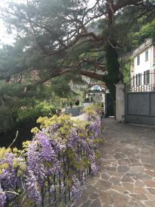 a garden with purple flowers and a fence at Villa Varenna in Varenna