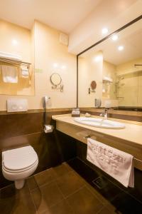 a bathroom with a toilet and a sink and a mirror at Grand Hotel Napoca in Cluj-Napoca