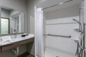 Un baño de Holiday Inn San Marcos Convention Center, an IHG Hotel