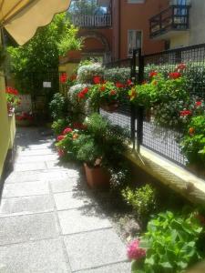 un giardino con fiori e piante su un balcone di Hotel Villa Tiziana a Lido di Venezia