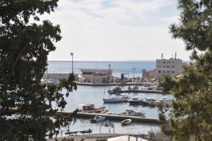 eine Gruppe von Booten, die in einem Hafen angedockt sind in der Unterkunft Hotel Oaza in Budva