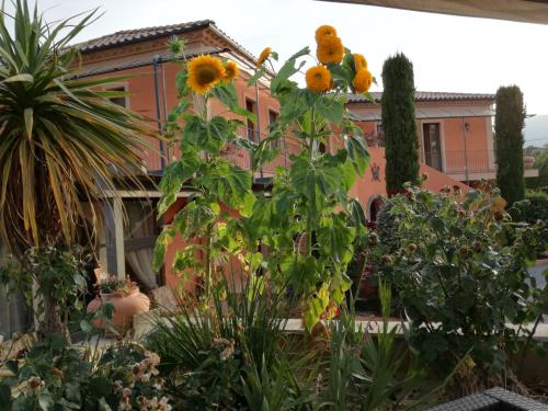 a garden with sunflowers in front of a building at Albergo Arinde in Rende