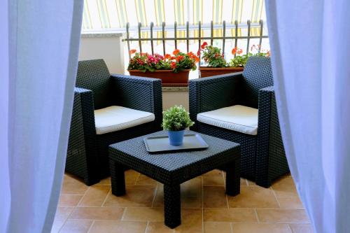 a patio with chairs and a table with a potted plant at Zama Bed&Breakfast in Scalea