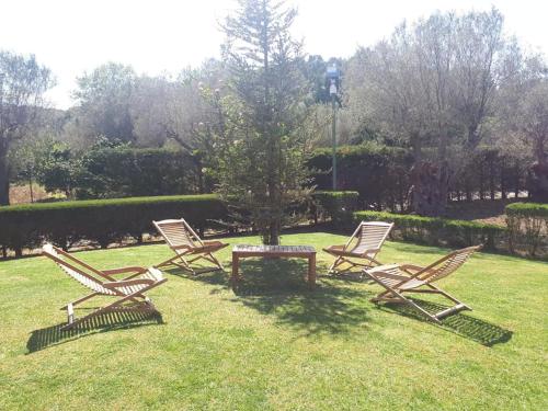 3 chaises et une table dans l'herbe dans l'établissement Casale degli Ulivi, à Cirò Marina