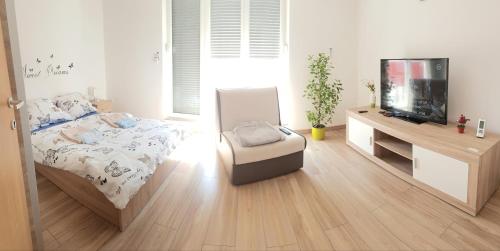 1 dormitorio con 1 cama y TV. en Penthouse Spudic Karlovac, en Karlovac