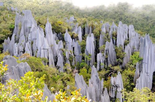 ムルにあるMulu National Parkの森の灰色の岩群