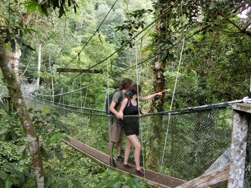 ムルにあるMulu National Parkの森の吊橋の上に立つ男女