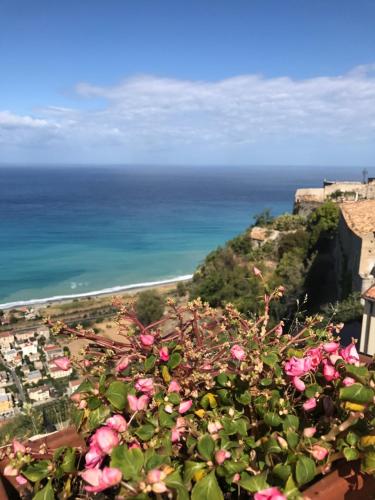 a view of the ocean and a beach with pink roses at Residenza d'Epoca Borgodifiume in Fiumefreddo Bruzio