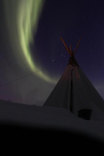 - une photo nocturne d'une tente éclairée au nord dans l'établissement Lofoten Camp, à Stamsund