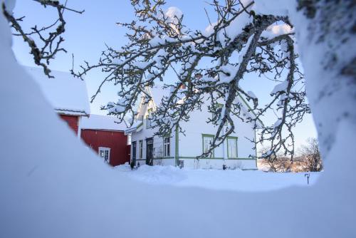 Strømnes - Oldefars gjestehus Inderøy om vinteren