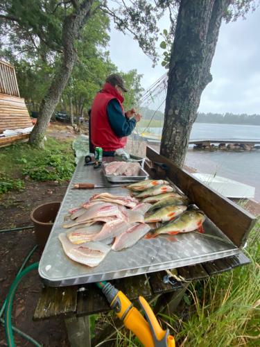 um homem sentado à mesa com peixe na grelha em Rörvik Stugor em Geta