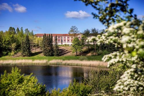 Naturlandskap nära hotellet