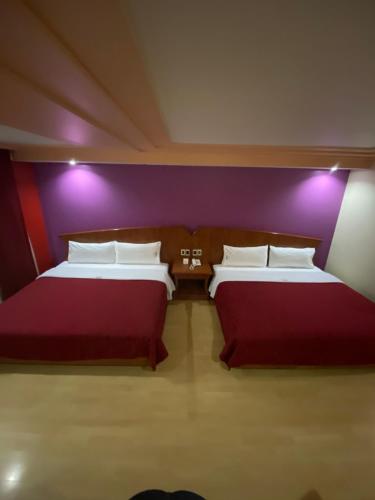 two beds in a room with purple walls at HOTEL MARIA RICO in Mexico City