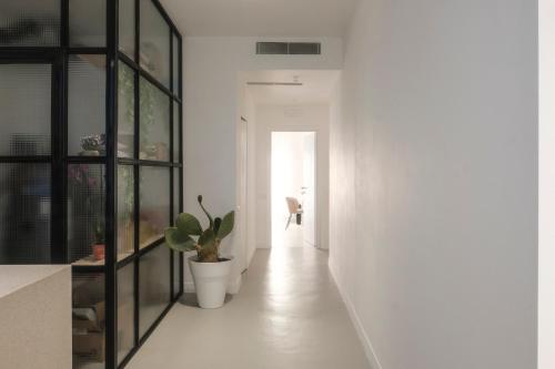 a hallway with a potted plant and a white wall at Malalbergo in Reggio di Calabria