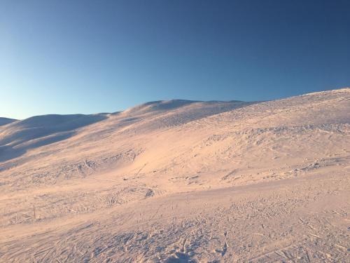 Loma-asunnon lähellä sijaitseva luonnonmaisema