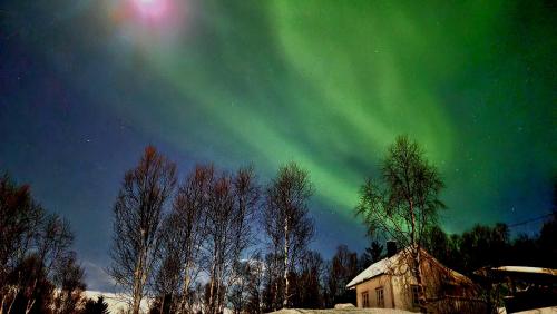 Cabin magic on Senja, atmosphere like a fairytale