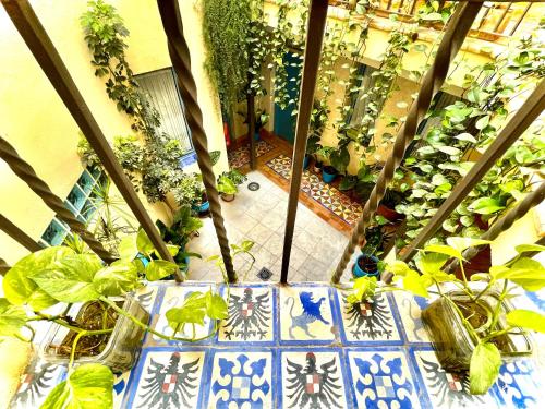 una habitación con una mesa con plantas. en Hotel Conde de Cárdenas, en Córdoba