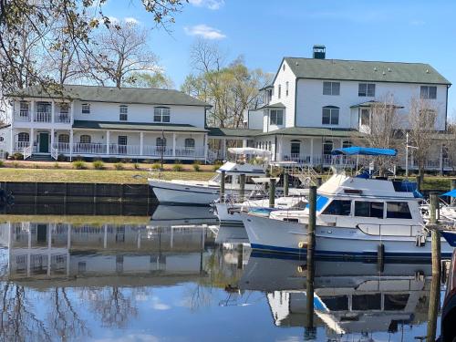 Udsigt til en flod der løber i nærheden af bed & breakfast-stedet