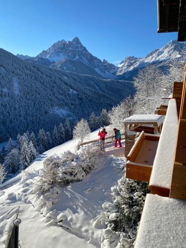 Hotel Almhof during the winter