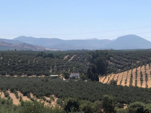 una vista aérea de un valle con montañas en el fondo en Cortijo Ribero, en Cabra