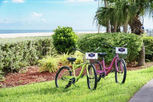 - deux vélos garés sur l'herbe près de la plage dans l'établissement Hampton Inn Key West FL, à Key West