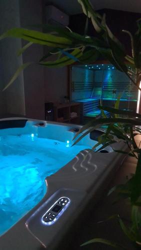 a remote control in a swimming pool with a plant at Luxury wellness apartment SHA in Osijek