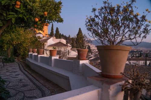 une rangée de plantes en pot assise sur un mur dans l'établissement Carmen de la Alcubilla del Caracol, à Grenade