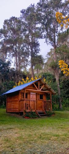 Pinar del Valle - Glamping en el Bosque - Propiedad Completa en Constanza