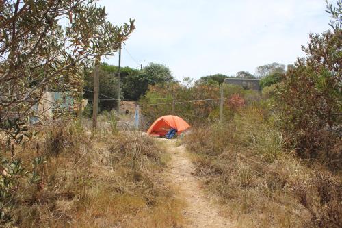 Serendipia Hostel Punta Rubia