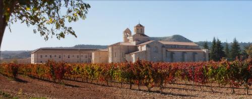 巴尔武埃纳德杜埃罗Castilla Termal Monasterio de Valbuena的一座红色花后方的古老建筑