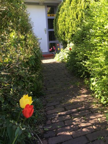 un chemin en briques avec une fleur rouge et jaune dans l'établissement Wim's Place Schiphol Amsterdam Airport, à Hoofddorp