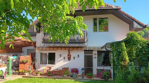 ein weißes Haus mit vielen Pflanzen in der Unterkunft Casa Vanatorului in Sighişoara