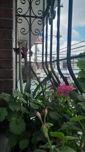 uma janela com um ramo de plantas e flores em Hotel el Mesón, Guatemala em Guatemala